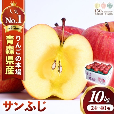 りんご「サンふじ」約10kg(24~40玉)【2025年産・先行予約】12月上旬～1月下旬発送予定