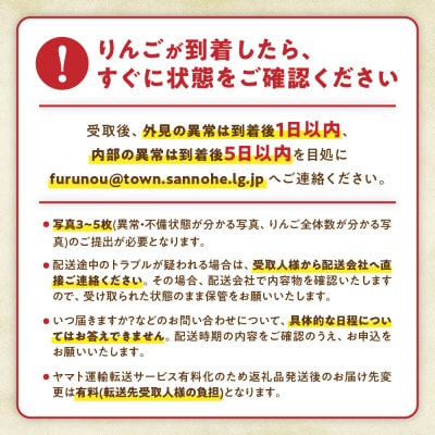 りんご「サンふじ」約10kg(24~40玉)【2025年産・先行予約】12月上旬～1月下旬発送予定
