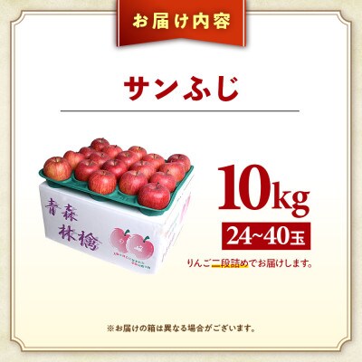 りんご「サンふじ」約10kg(24~40玉)【2025年産・先行予約】12月上旬～1月下旬発送予定