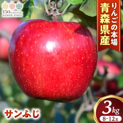 りんご「サンふじ」約3kg(8～12玉)【2025年産・先行予約】12月上旬～1月下旬発送予定