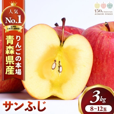 りんご「サンふじ」約3kg(8～12玉)【2025年産・先行予約】12月上旬～1月下旬発送予定