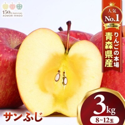 りんご「サンふじ」約3kg(8～12玉)【2026年産・先行予約】12月上旬～1月中旬発送予定