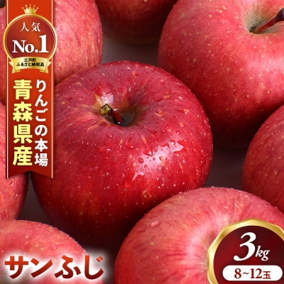 りんご「サンふじ」約3kg(8～12玉)【2026年産・先行予約】12月上旬～1月中旬発送予定
