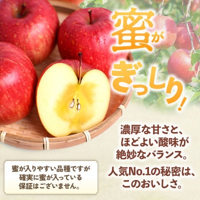 りんご「サンふじ」約3kg(8～12玉)【2025年産・先行予約】12月上旬～1月下旬発送予定