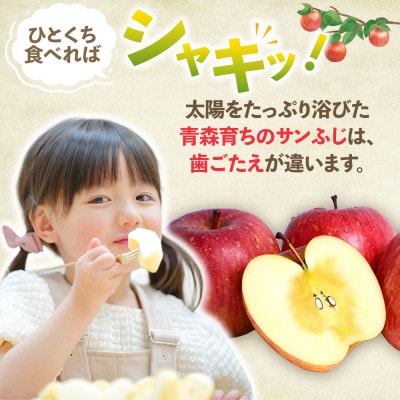 りんご「サンふじ」約3kg(8～12玉)【2025年産・先行予約】12月上旬～1月下旬発送予定