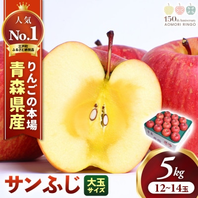 りんご「サンふじ」大玉約5kg(12～14玉)【2025年産・先行予約】12月発送予定