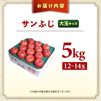 りんご「サンふじ」大玉約5kg(12～14玉)【2025年産・先行予約】12月発送予定