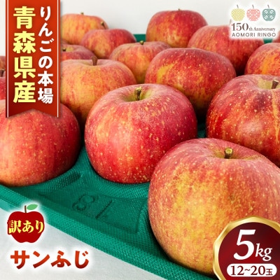 【訳あり】りんご【サンふじ】約5kg(12～20玉)【2025年産・先行予約】12月発送予定