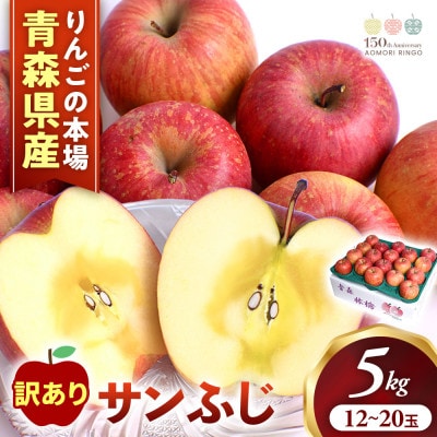 【訳あり】りんご【サンふじ】約5kg(12～20玉)【2025年産・先行予約】12月発送予定