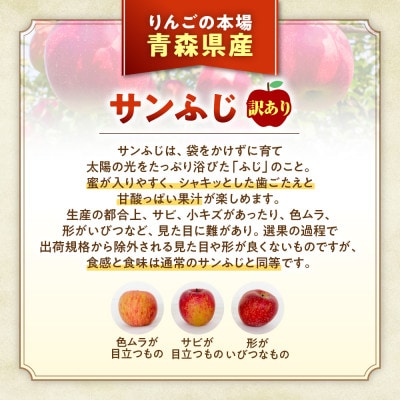 【訳あり】りんご【サンふじ】約5kg(12～20玉)【2025年産・先行予約】12月発送予定