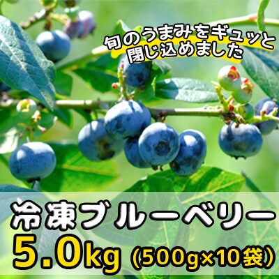 冷凍ブルーベリー5.0kg(500g×10袋)「青森県東通村産」
