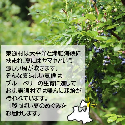 冷凍ブルーベリー5.0kg(500g×10袋)「青森県東通村産」
