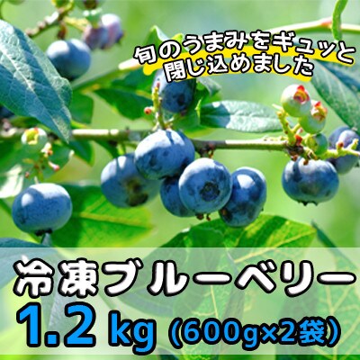冷凍ブルーベリー1.2kg(600g×2袋)「青森県東通村産」