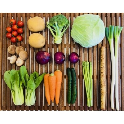 【毎月お届け】むなかた旬の野菜お任せセット 11~12品【定期便】_STB35