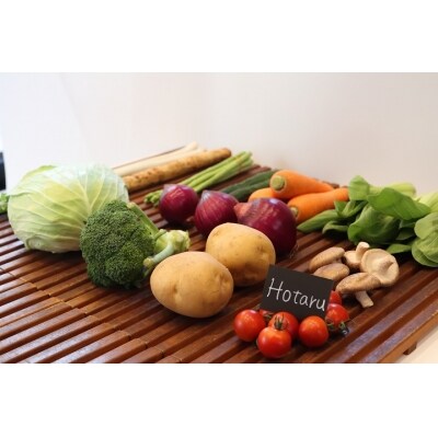 【毎月お届け】むなかた旬の野菜お任せセット 11~12品【定期便】_STB35