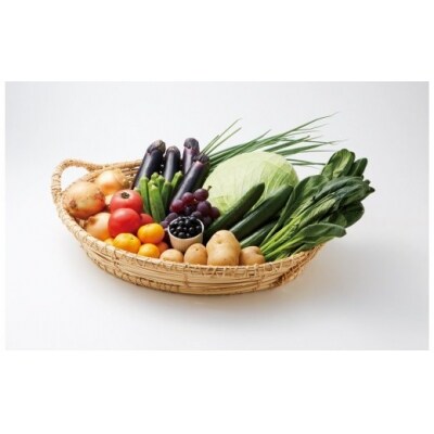【毎月お届け・12~14品】むなかた旬のお任せセット(野菜・フルーツ)/1年間_STB28
