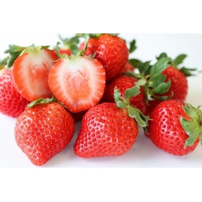 旬のいちご3種食べ比べ6パックセット Pa0050 お礼品詳細 ふるさと納税なら さとふる