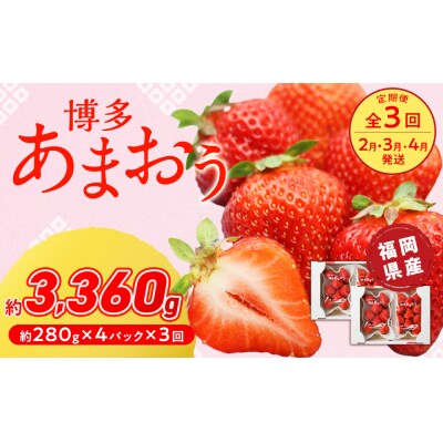 博多あまおう(いちご)270g4パック 3ヶ月定期便_PB0032