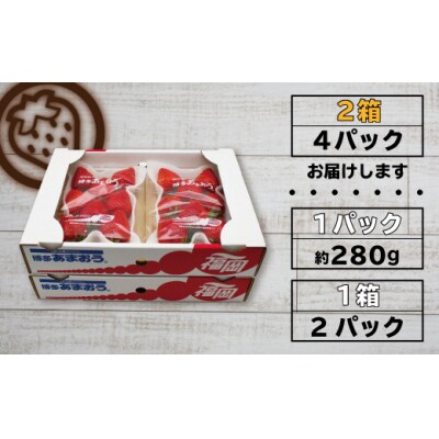 博多あまおう(いちご)270g4パック 3ヶ月定期便_PB0032