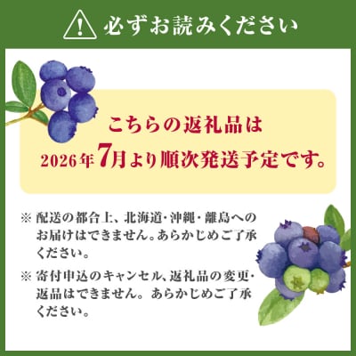 有機肥料で丹精込めて栽培した「ブルーベリー」1kg 栽培期間中農薬不使用 国産_HA0273