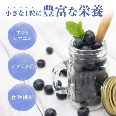 有機肥料で丹精込めて栽培した「ブルーベリー」1kg 栽培期間中農薬不使用 国産_HA0273