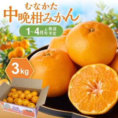 <2027年1月～4月上旬発送>みかん(中晩柑)計3kg【JAほたるの里】_HA0281