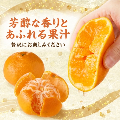 <2027年1月～4月上旬発送>みかん(中晩柑)計3kg【JAほたるの里】_HA0281
