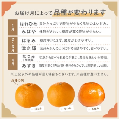 <2027年1月～4月上旬発送>みかん(中晩柑)計3kg【JAほたるの里】_HA0281