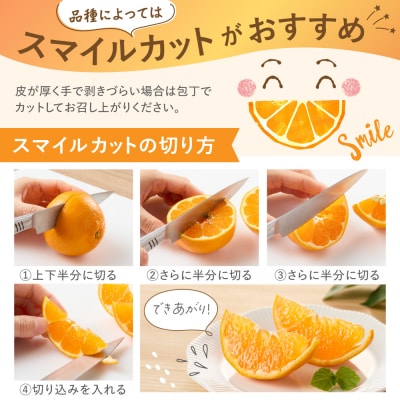 <2027年1月～4月上旬発送>みかん(中晩柑)計3kg【JAほたるの里】_HA0281