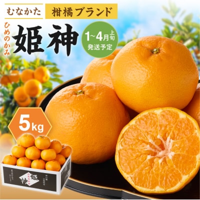 旬のミカンをお届け!JAむなかた柑橘ブランド「姫神」5kg_HA0280