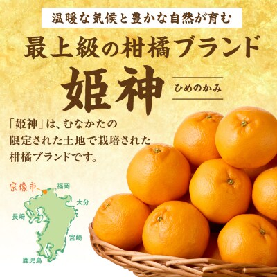 旬のミカンをお届け!JAむなかた柑橘ブランド「姫神」5kg_HA0280
