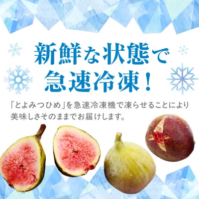 プレミアムいちじく「とよみつひめ」冷凍いちじく 大容量2kg【JAほたるの里】_HA0279