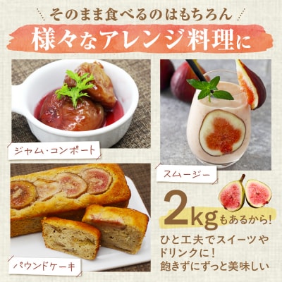 プレミアムいちじく「とよみつひめ」冷凍いちじく 大容量2kg【JAほたるの里】_HA0279