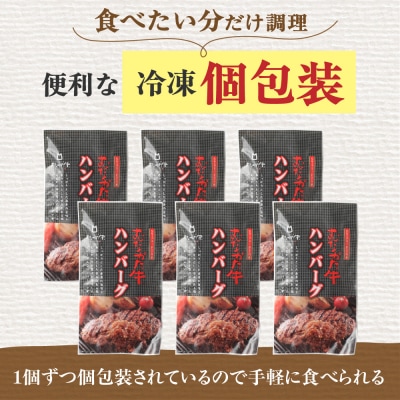 【定期便/毎月お届け】むなかた牛ハンバーグ6個セット 12ヶ月定期便【道の駅むなかた】_HB0037