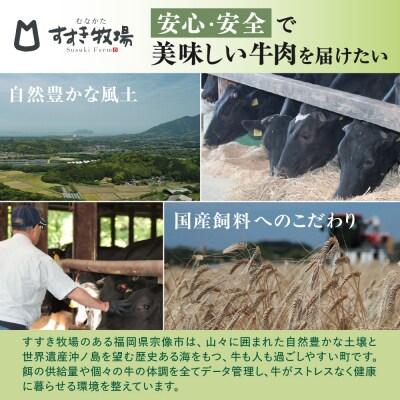 【定期便/毎月お届け】むなかた牛ハンバーグ6個セット 12ヶ月定期便【道の駅むなかた】_HB0037