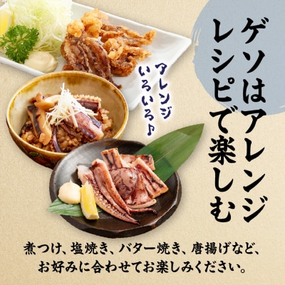 【年内お届け!】刺身用 新鮮ヤリイカ2尾セット(宗像鐘崎産)【マルケイ水産】_HA0416