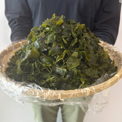 【道の駅むなかた】宗像産 乾燥カットわかめ 200g×2袋(計400g)_HA0447