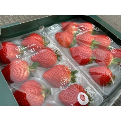 プレミアムオーガニックあまおう 「いせいちご」 プレミアムギフト【伊世いちご畑】_HA0481