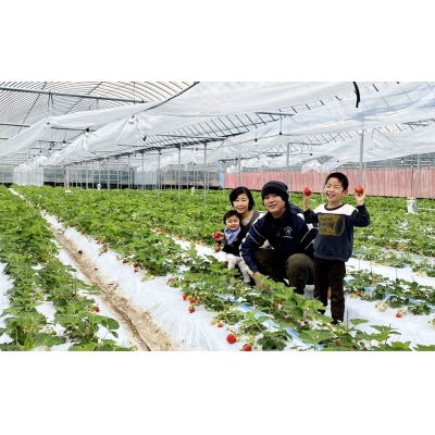 プレミアムオーガニックあまおう 「いせいちご」 スペシャルギフト【伊世いちご畑】_HA0480