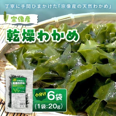【道の駅むなかた】宗像産 乾燥カットわかめ 20g×6袋セット(計120g)_HA0444