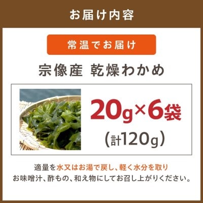 【道の駅むなかた】宗像産 乾燥カットわかめ 20g×6袋セット(計120g)_HA0444