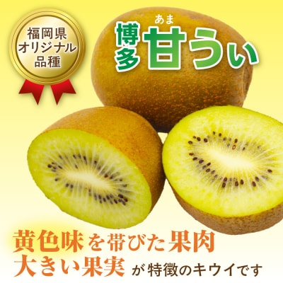 福岡県ブランド!キウイフルーツ「博多甘うぃ」1箱約3.6kg【ほたるの里】_HA0434