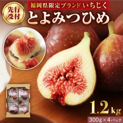 【寄附額改定!】プレミアムいちじく とよみつひめ　1.2kg【JAほたるの里】_HA0278