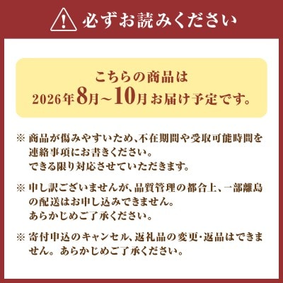 【寄附額改定!】プレミアムいちじく とよみつひめ　1.2kg【JAほたるの里】_HA0278