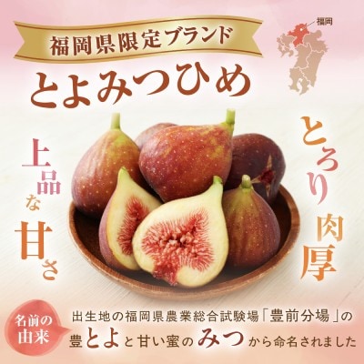 【寄附額改定!】プレミアムいちじく とよみつひめ　1.2kg【JAほたるの里】_HA0278