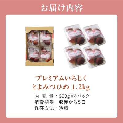 【寄附額改定!】プレミアムいちじく とよみつひめ　1.2kg【JAほたるの里】_HA0278