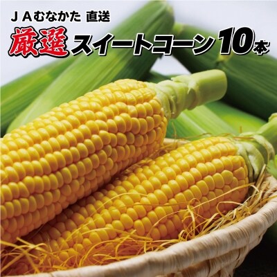 JAむなかた直送「厳選スイートコーン」2Lサイズ以上 10本入り【JAほたるの里】_HA0272