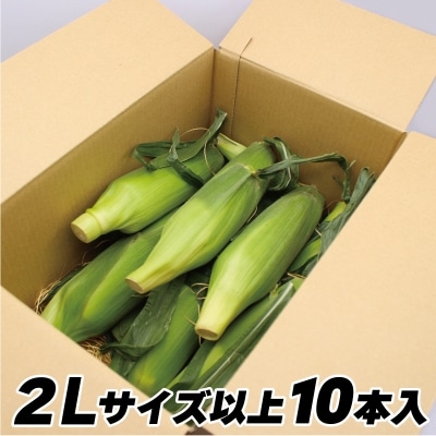 JAむなかた直送「厳選スイートコーン」2Lサイズ以上 10本入り【JAほたるの里】_HA0272