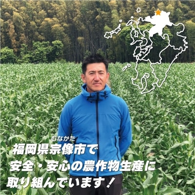 JAむなかた直送「厳選スイートコーン」2Lサイズ以上 10本入り【JAほたるの里】_HA0272