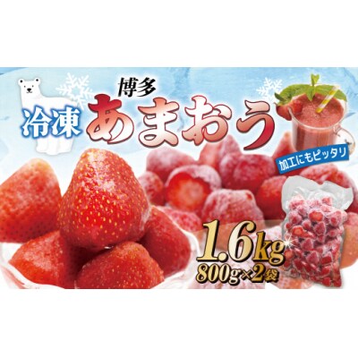 冷凍 博多あまおう 大容量 800g×2 計1.6kg【JAほたるの里】_PA0266